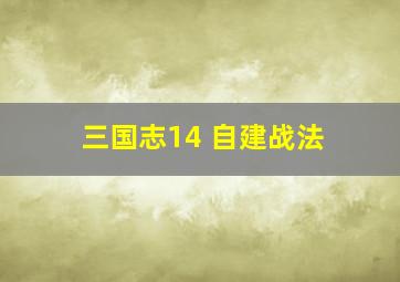 三国志14 自建战法